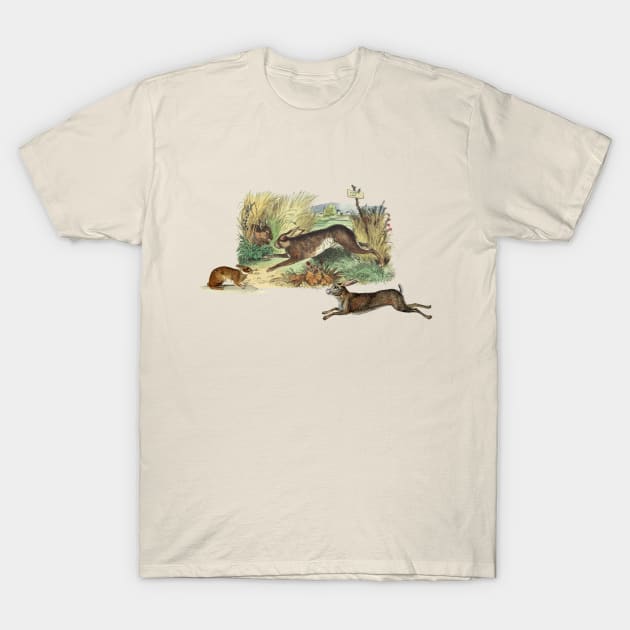 VEGAN LAND T-Shirt by Biophilia